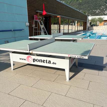 ping-pong
